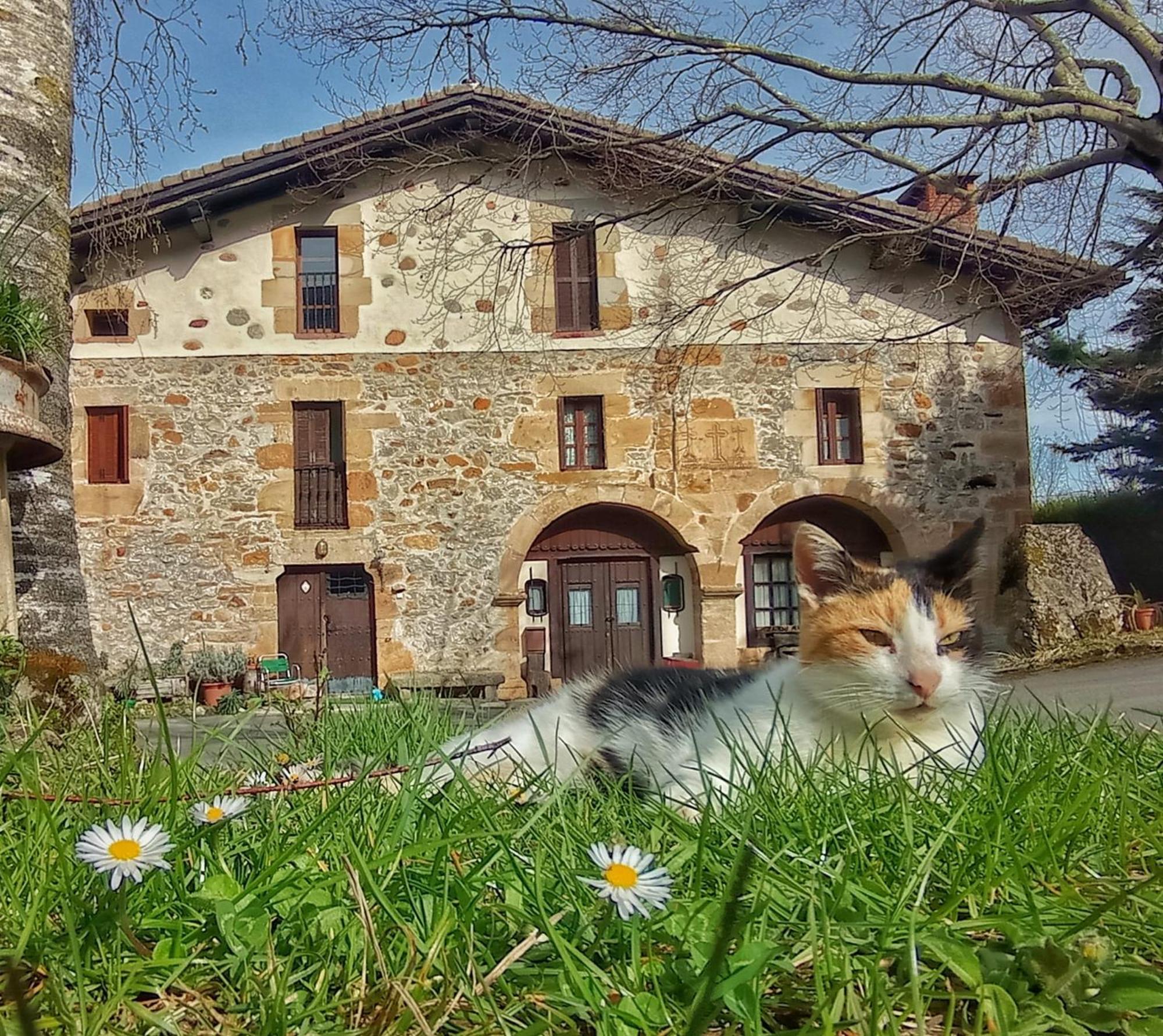 Casa Rural Areano Guest House Escoriaza Exterior foto